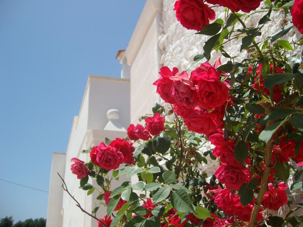 Masseria Nuova